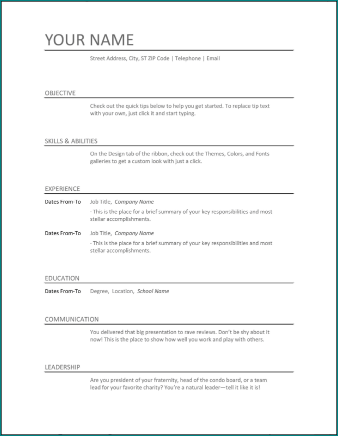 Basic Resume Template Example
