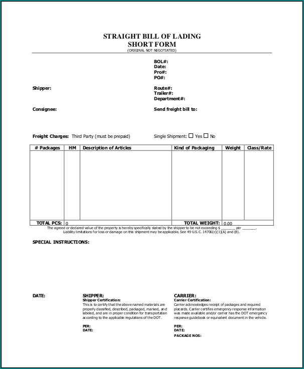 Bill Of Lading Template Word Example