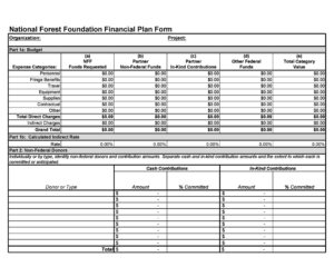 Business Financial Planning Template Sample