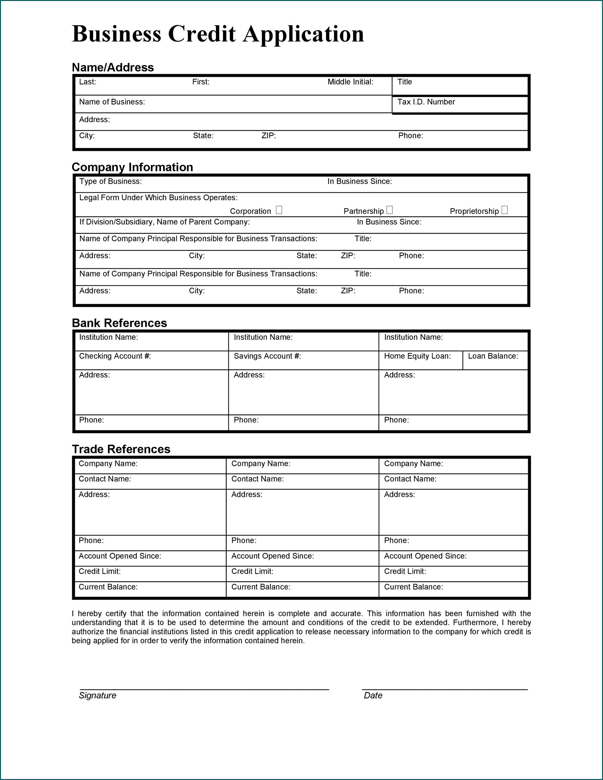 Credit Application Template Example