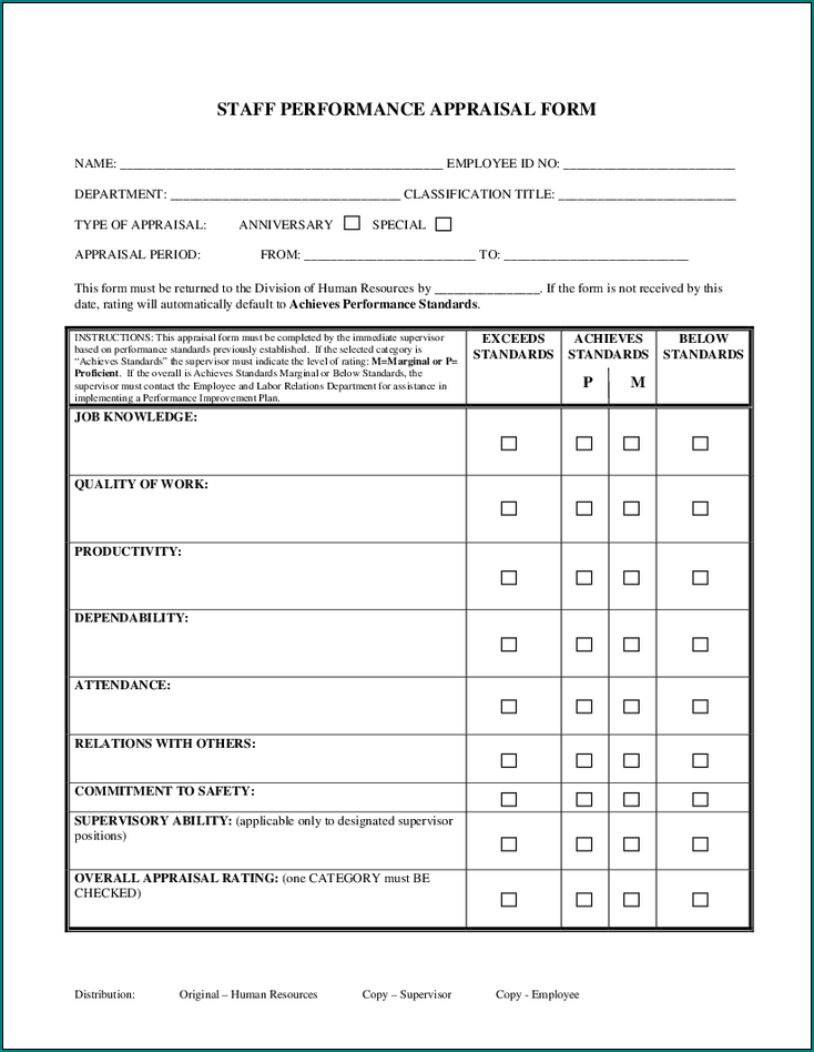 Example of Performance Appraisal Form