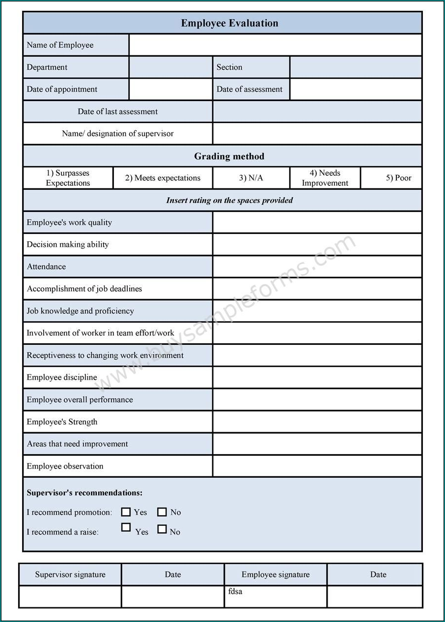 Example of Performance Evaluation Template
