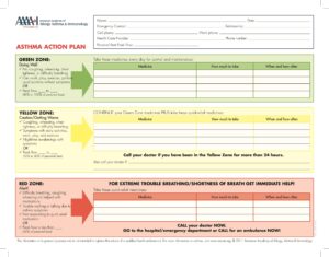 Example of Printable Action Planning Template