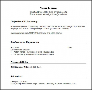 Example of Professional Resume Format