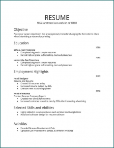 Example of Resume Format Word