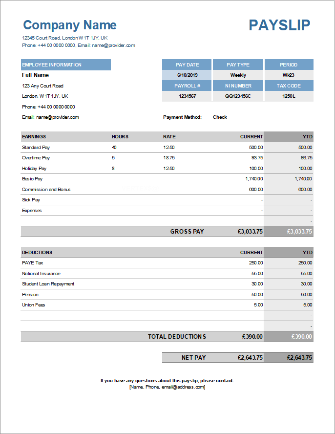 Example of Visiting Employee Payslip Template