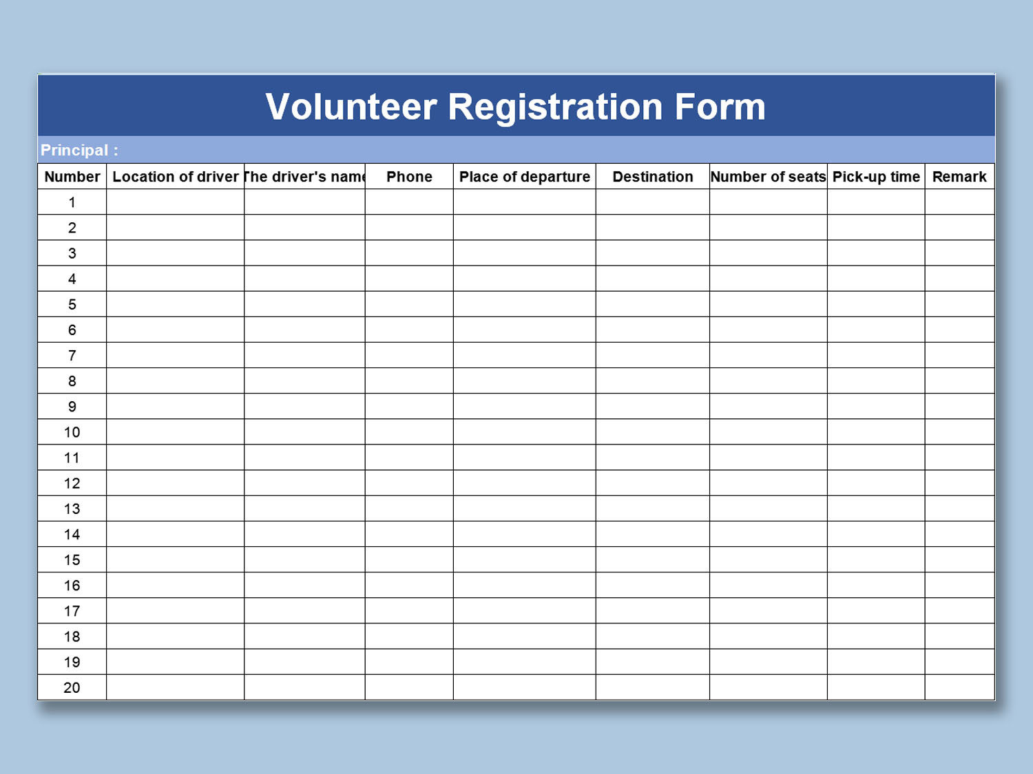 Example of Volunteer Registration Form