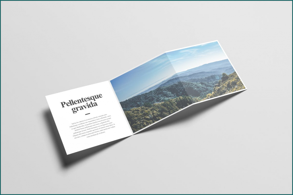 》Free Printable Z Fold Brochure Template