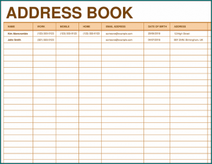 Excel Address Book Template Example