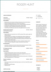 Executive Resume Template Example