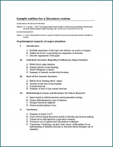 Literature Review Structure Example