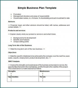 New Business Plan Example