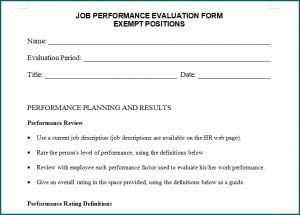 Performance Evaluation Template 