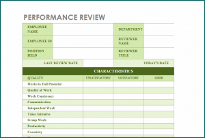 Performance Review Form