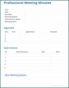 Professional Meeting Minutes Template Sample
