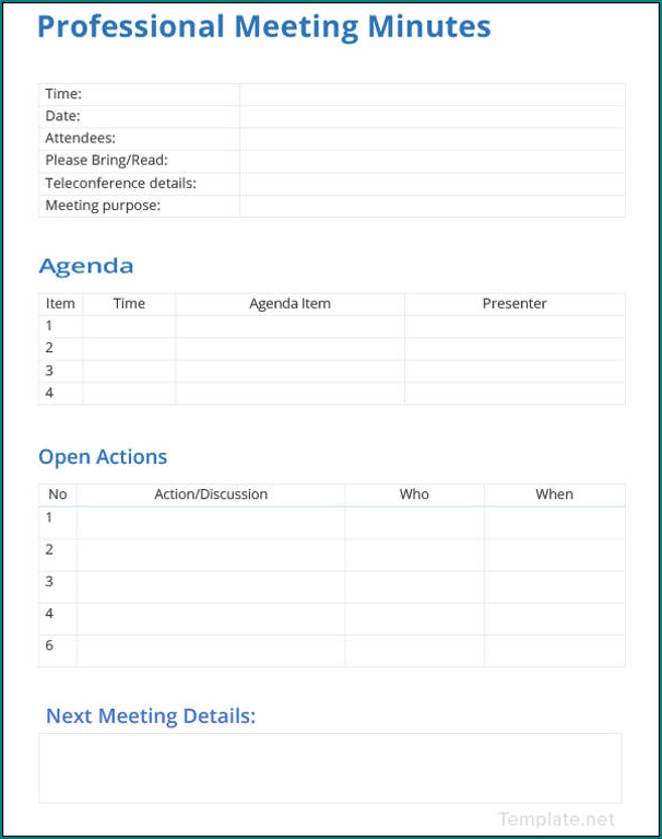 Professional Meeting Minutes Template Sample