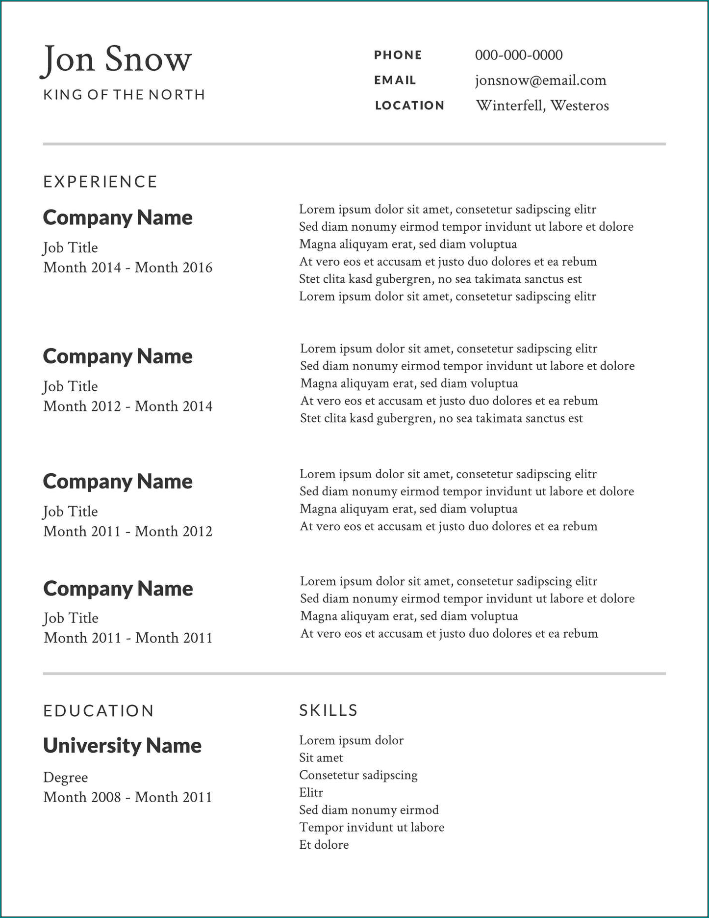 Professional Resume Template Example