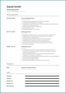 Sample of Executive Resume Template