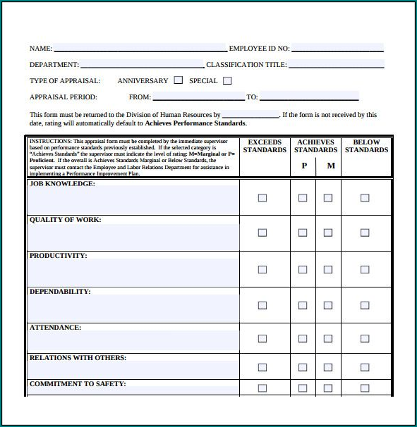 Sample of Performance Appraisal Form