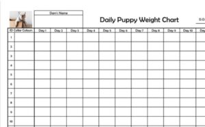 Sample of Puppy Weight Chart Template