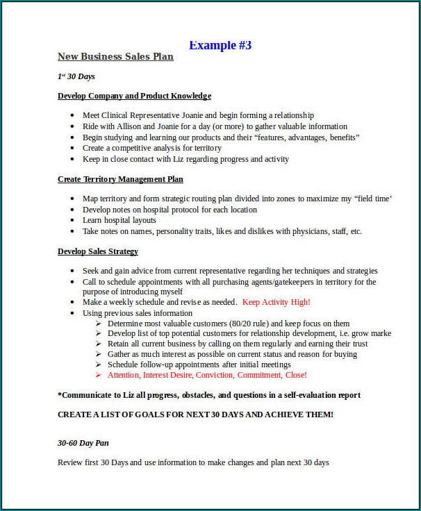 Sample of Sales Business Plan Template