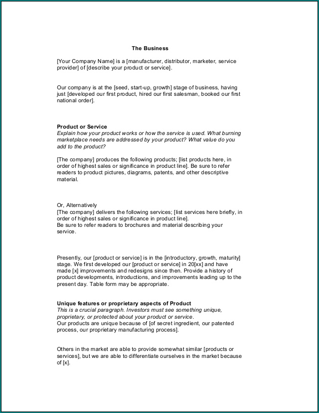 Startup Business Plan Template Example