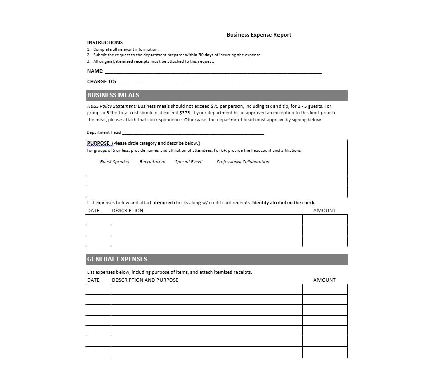 Travel Expense Report Template