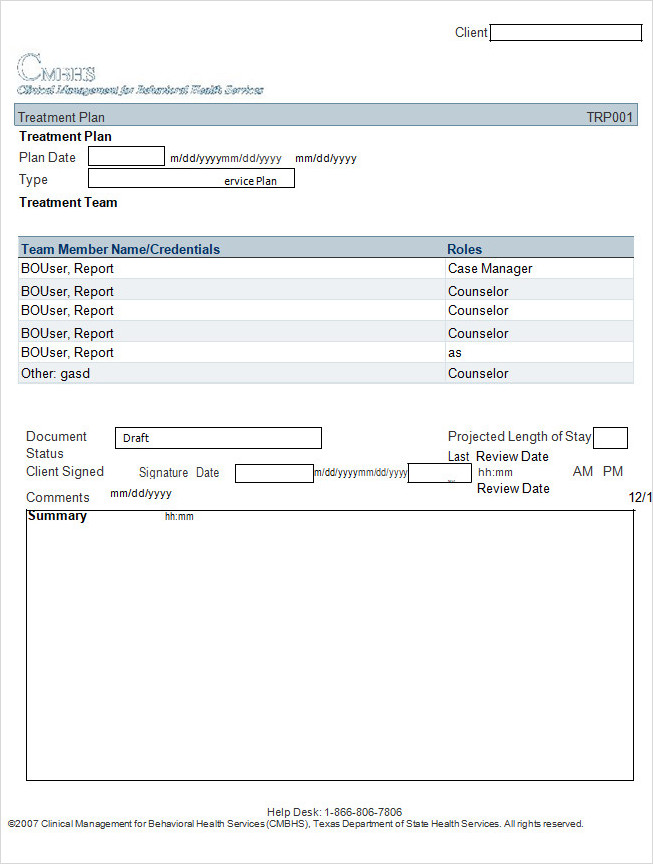 Treatment Plan Template Word