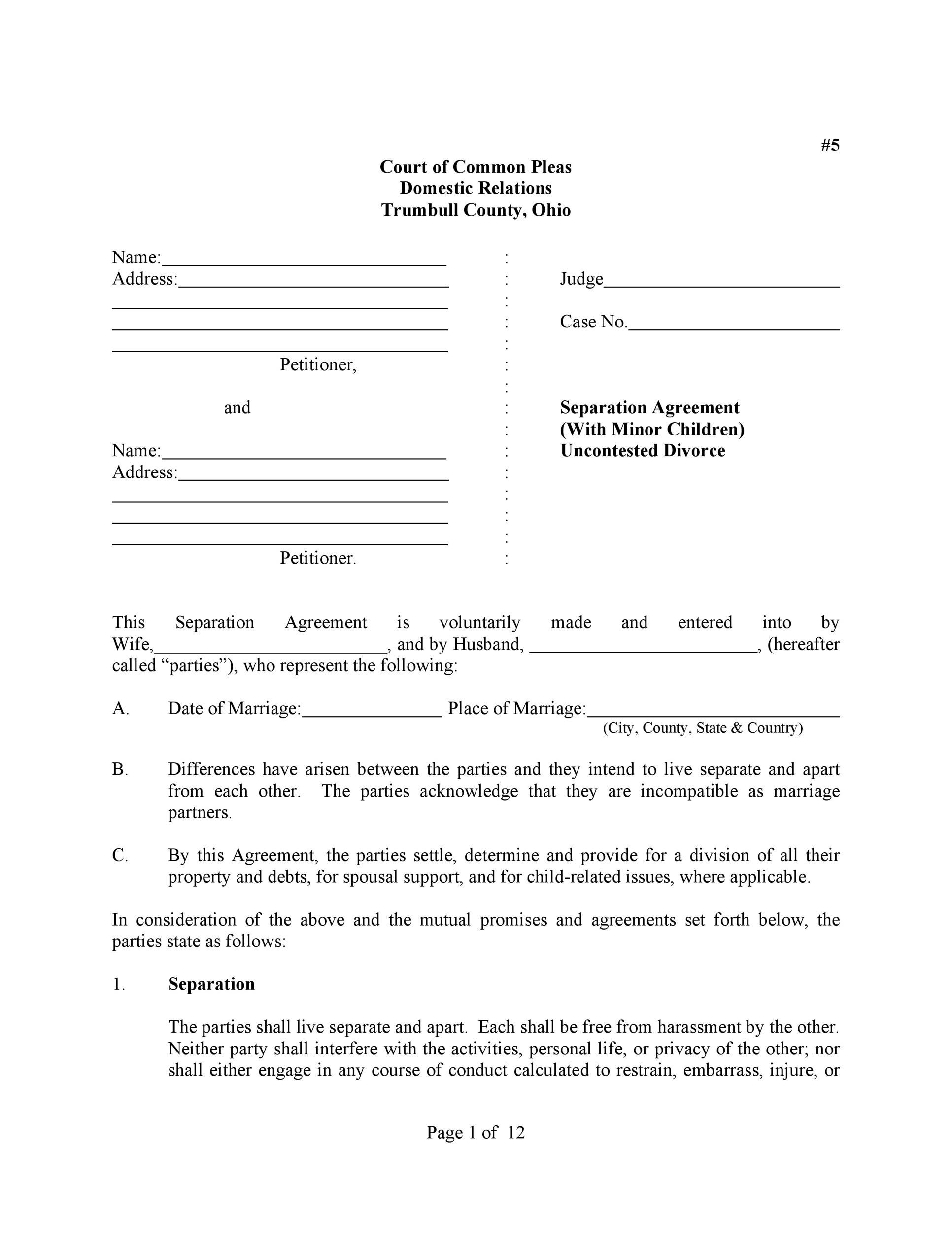 sample separate agreement template