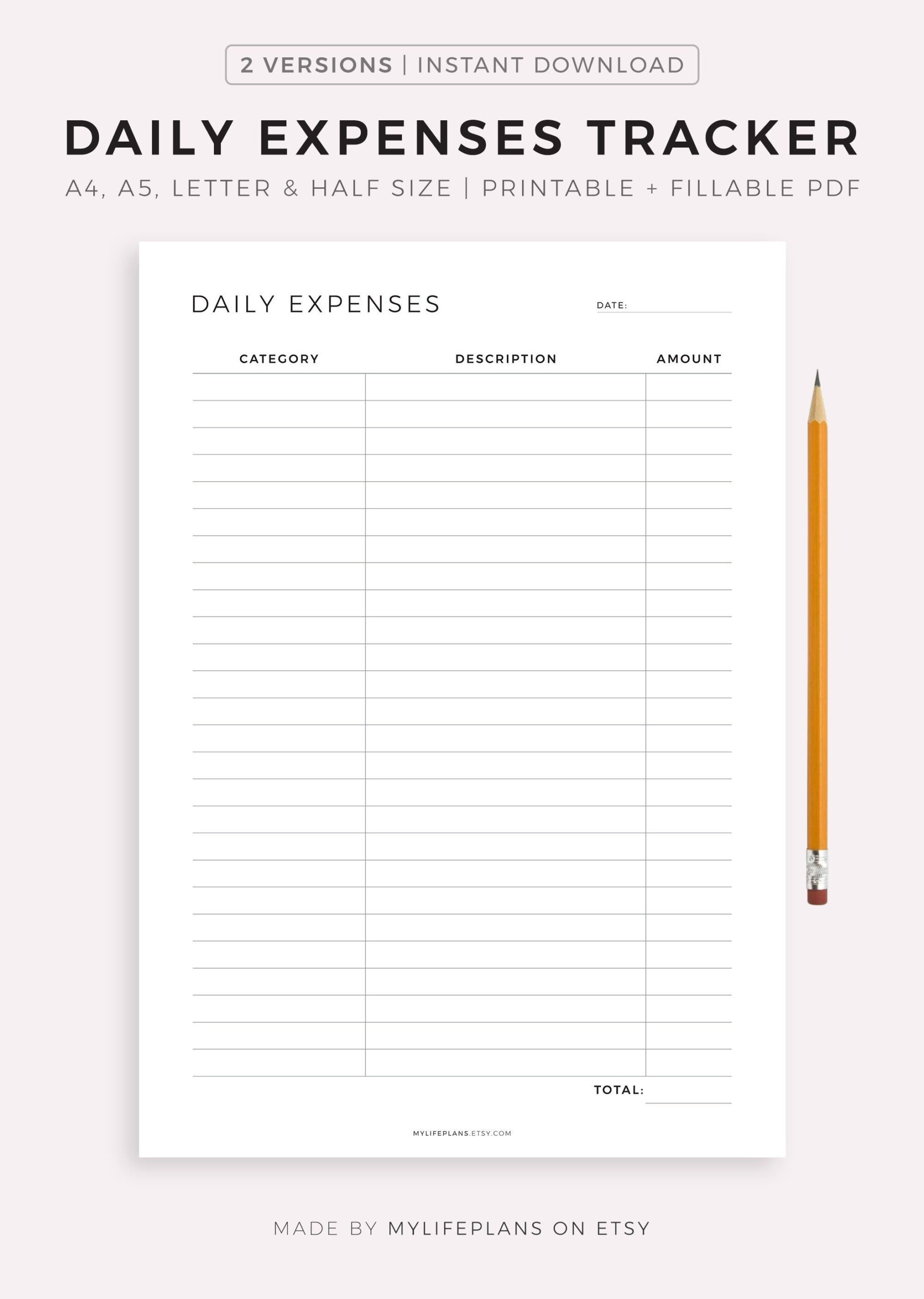 sample daily budget template