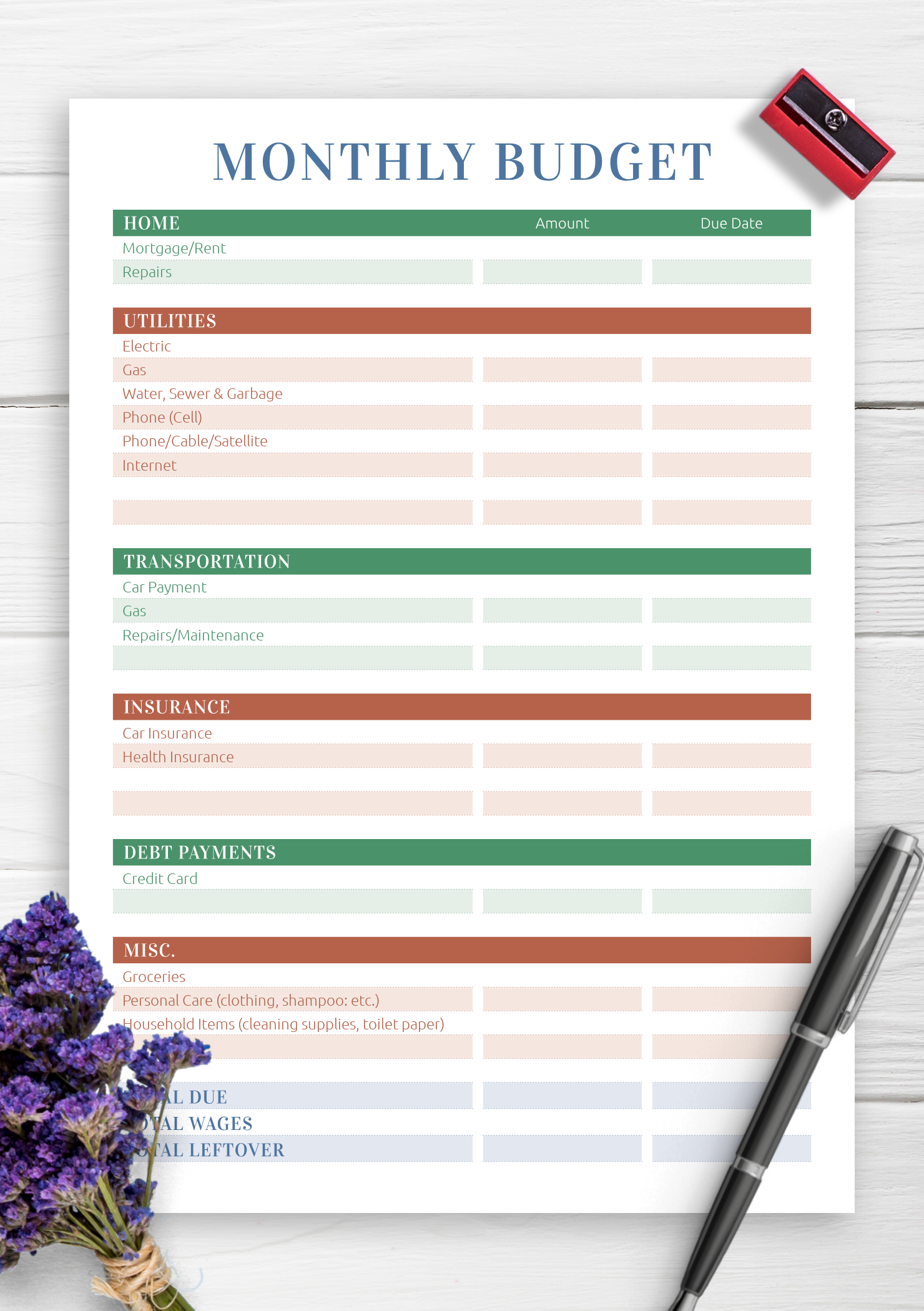 sample home health care budget template