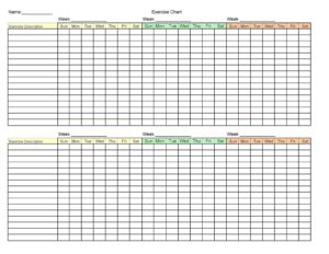 example of exercise chart template
