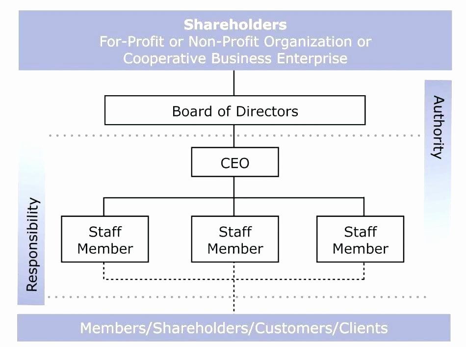 example of nonprofit organization chart template