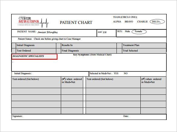 example of printable patient chart template