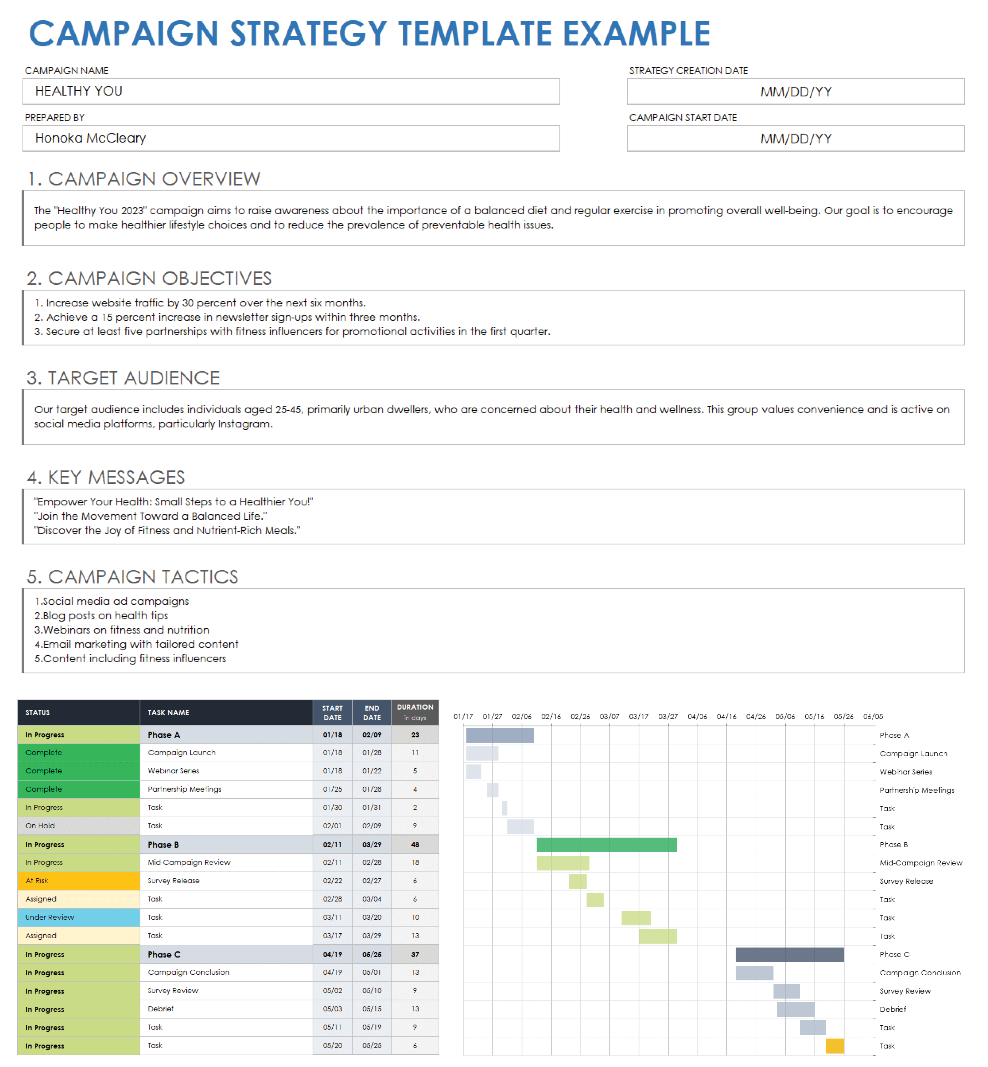 sample political campaign budget template