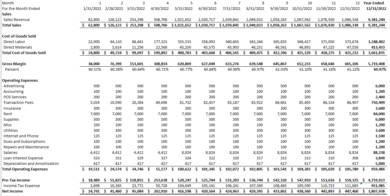 sample pro forma budget template