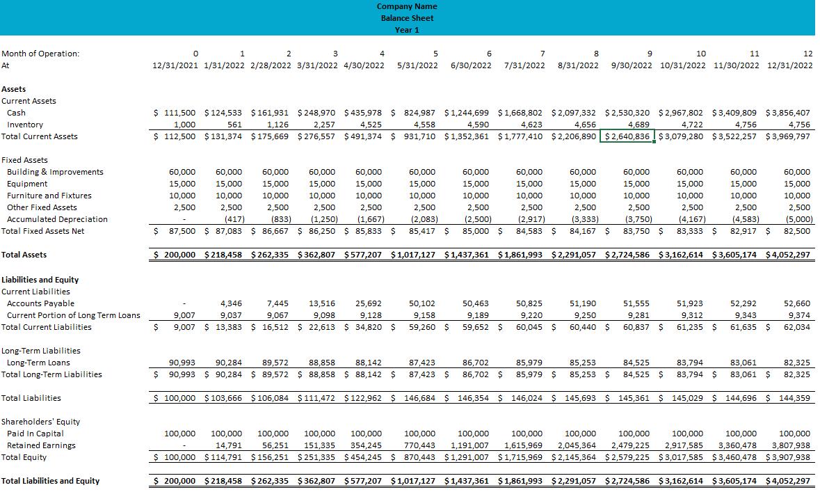 sample pro forma budget template