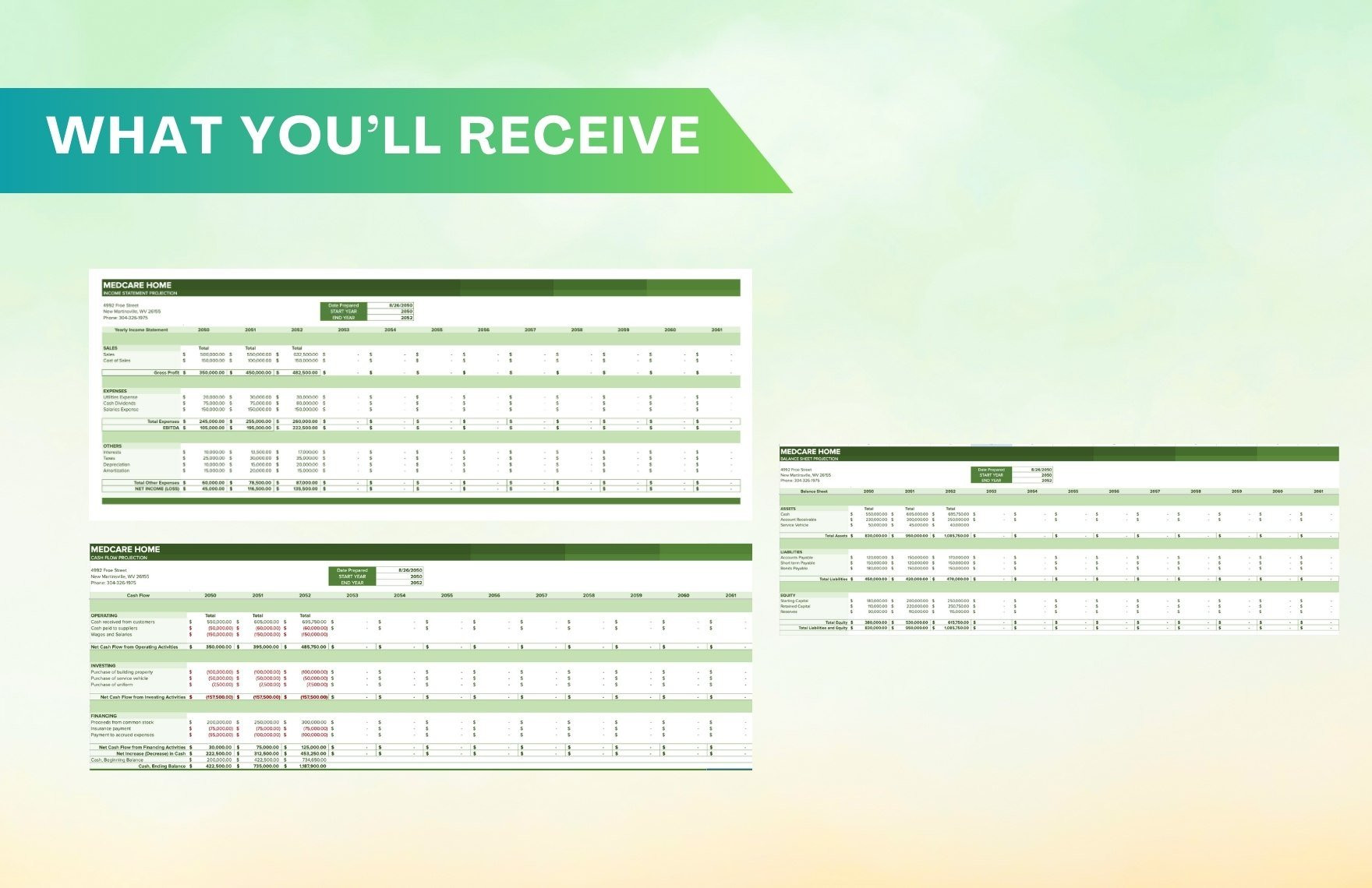 sample home health care budget template