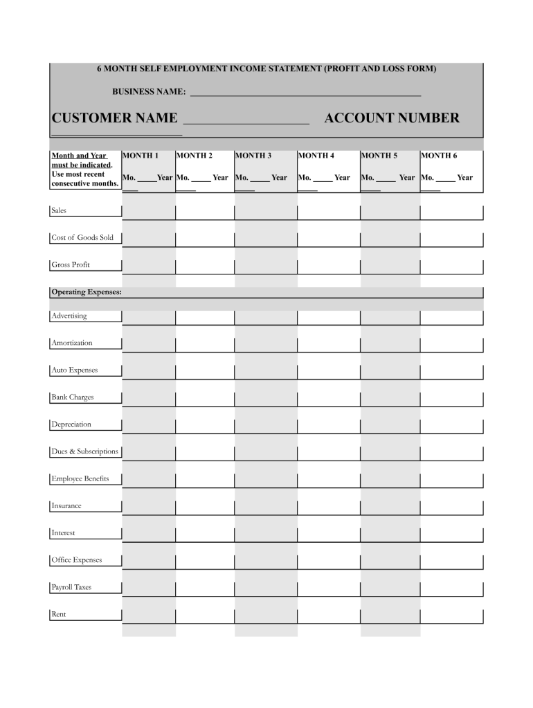 sample monthly profit and loss template