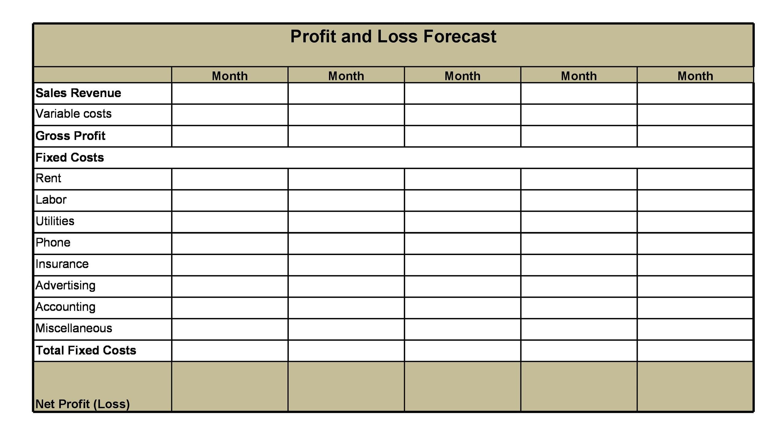 sample monthly profit and loss template