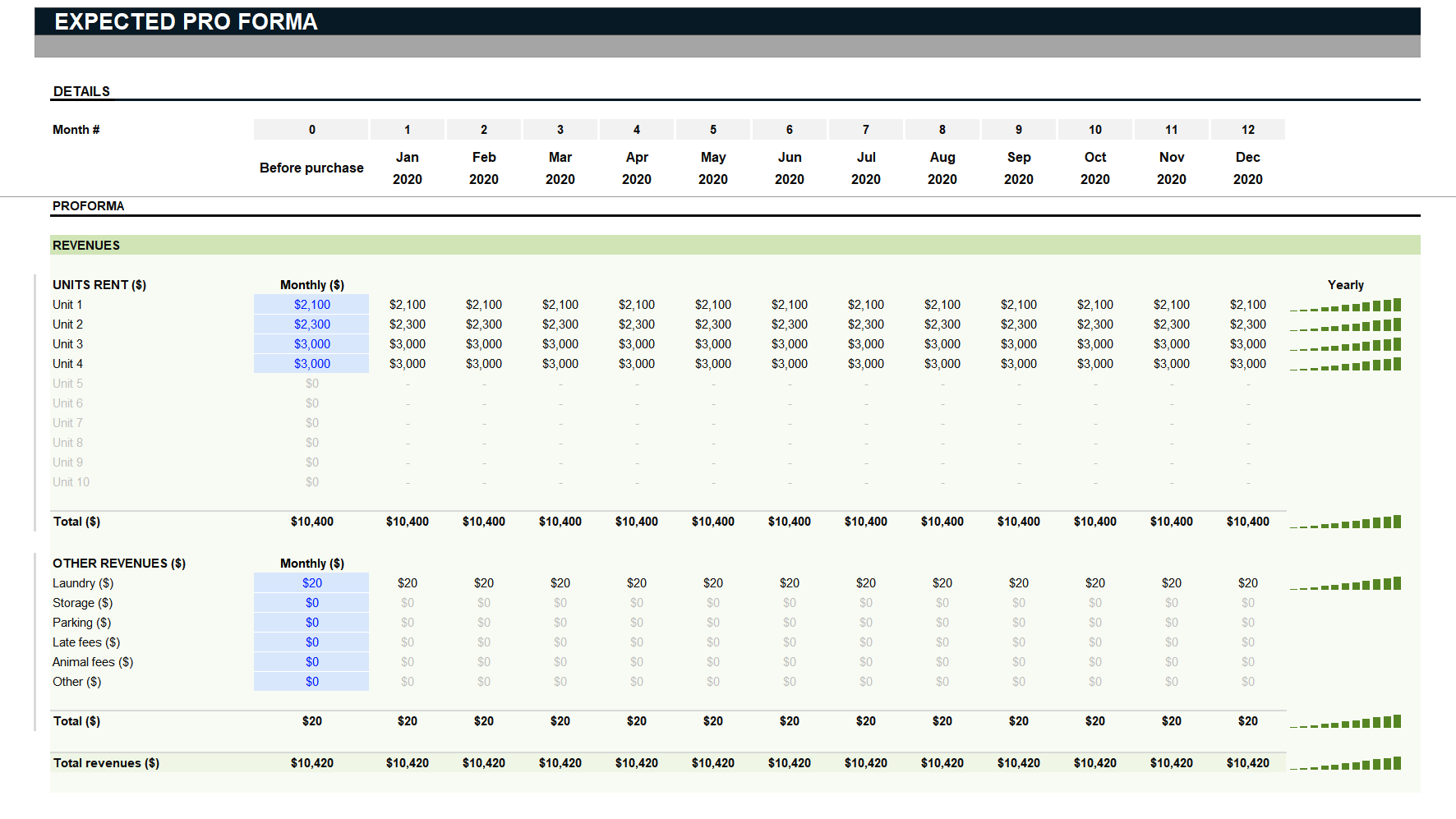 sample pro forma budget template