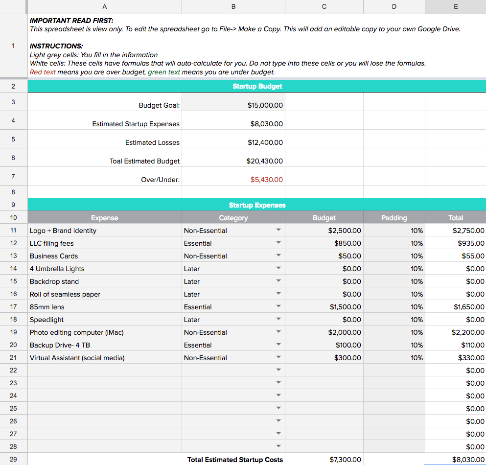 sample start-up budget template